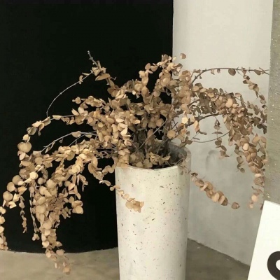 Furry绘画创意灵感兽圈社群